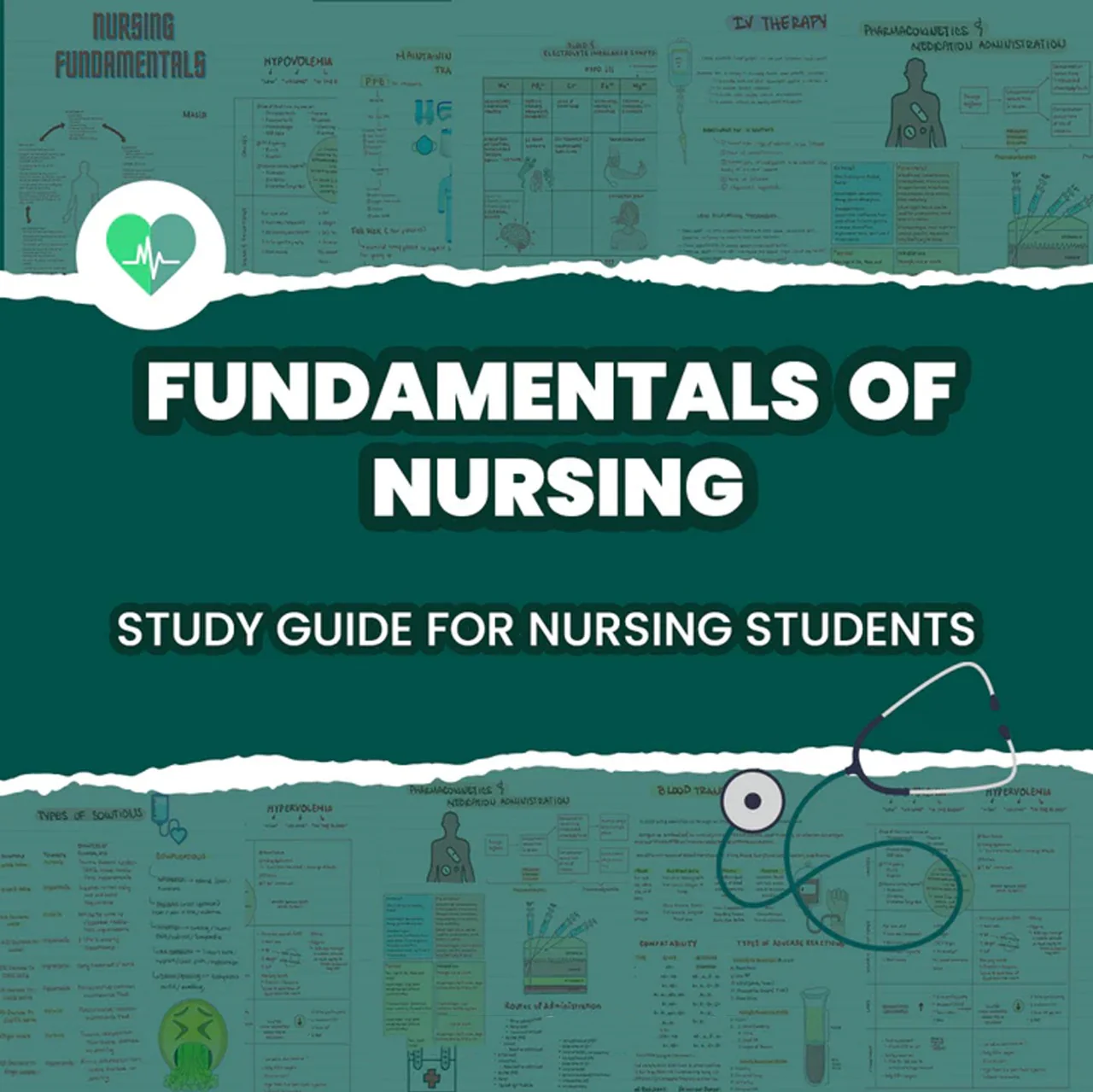 nursing Fundamentals of Nursing Study Guide - Image 1